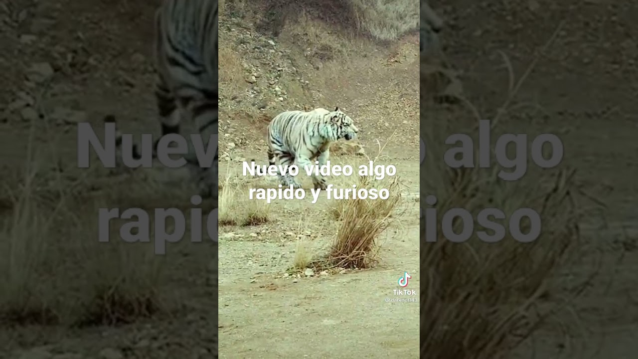 26 de agosto de 2021