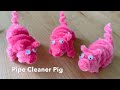 Pipe Cleaner Pig