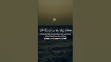 ماهر المعيقلي - سورة البقرة ( برواية حفص عن عاصم ) الأية 25