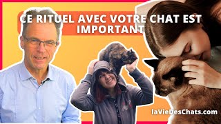 CE RITUEL AVEC VOTRE CHAT EST IMPORTANT