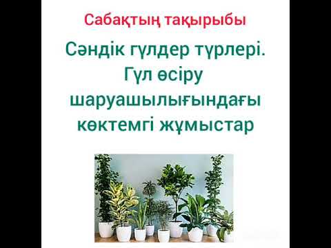 Бейне: Жемістердің немесе сәндік өсімдіктердің лигингтелген кесінділерін тамырдан шығару