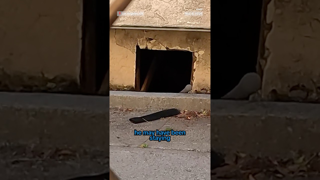 Police arrested a naked man who was living in the crawl space underneath a California home Police arrested a naked man who was living in the crawl space underneath a California home