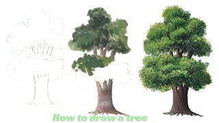 Painting tree with acrylic colors - step by step acrylic painting