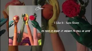 I Like It - Sam Shore [Lyrics]