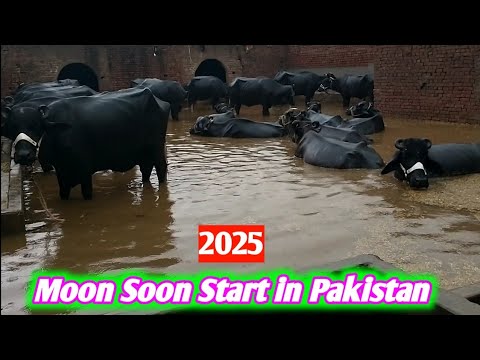 Mon Soon 🌧️ 2025 begin in Pakistan - مون سون - YouTube