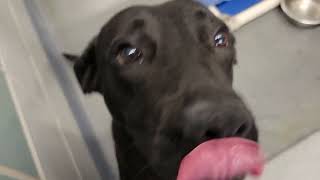 acs A658279