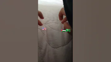 تحيا فلسطين الجميع عرب حتى السويديون عرب تحيا الأمة العربية 