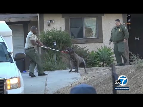 Man describes horror of seeing teen girl mauled by dogs in Thousand Oaks