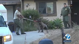 Man describes horror of seeing teen girl mauled by dogs in Thousand Oaks