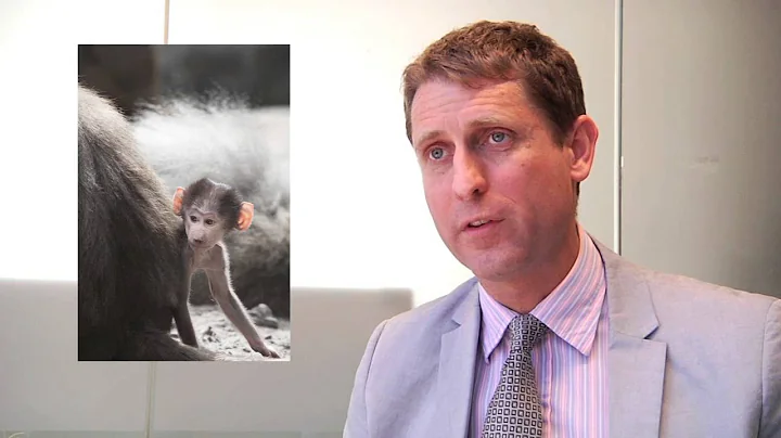 Animal Experiments - a failing science