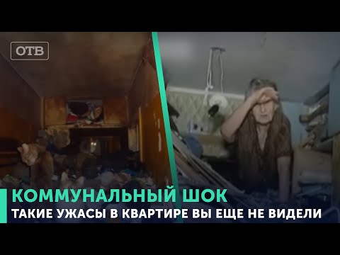 Бабушка жила среди тараканов и помоев. Даже бомжи в шоке от условий жизни женщины | #ОТВ