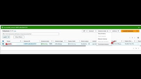 How to Remove a Terminated EC2 Instance from the AWS Console | AWS Instances