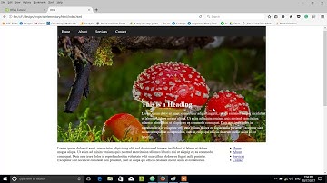 HTML Bangla Tutorial Part 16