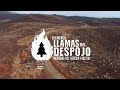 Llamas del Despojo: Incendios del Negocio Forestal - Documental