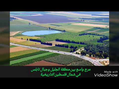 مرج ابن عامر في فلسطين