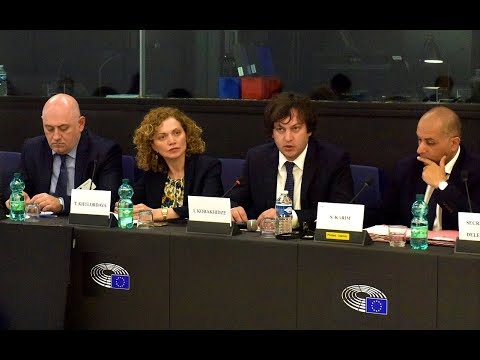 შეხვედრა ევროკავშირი-საქართველოს საპარლამენტო ასოცირების კომიტეტის წევრებთან