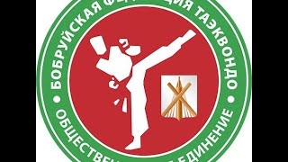 Сюжет о Бобруйской федерации таэквондо видео белорусская федерация таэквондо