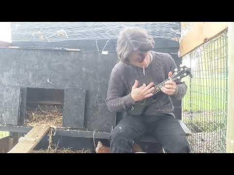 A ukulele chicken coop production