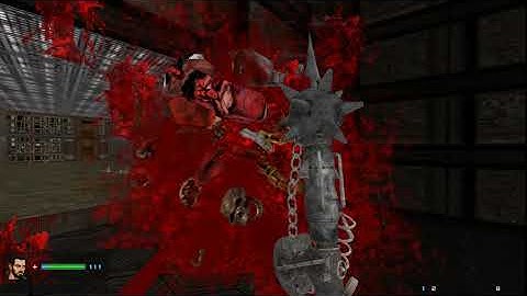 Painkiller: Mutilator Doom 3D
