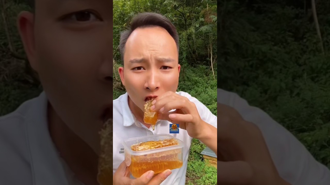 Sweet Success 🍯 Gold Honey bd 🐝 Harvesting Beautiful Red & Gold Honey  pt 2 