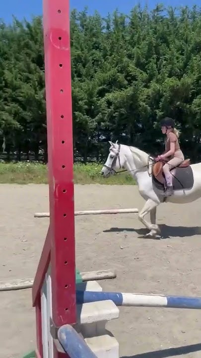 not-like-meaning-what-the-song-says-just-an-edit-fyp-horseriding