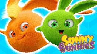 Videos For Kids |  Sunny Bunnies  Special Compilation 110119 ★ Funny Videos For Kids |