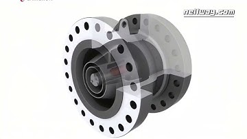 Axial flow nozzle check valve