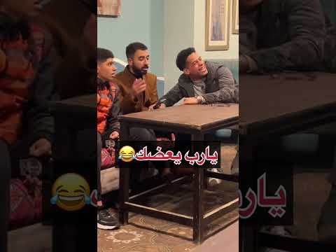 قطة في الكافية الجزء التاني