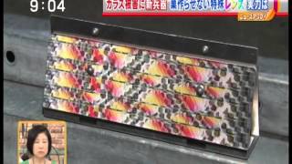 ハトカラス鳥害対策撃退ドットマン　電信柱搭載