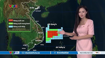 Dự báo thời tiết biển ngày 06/12/2025 | Ngư trường khai thác cá ngừ tháng 12 | VTVWDB