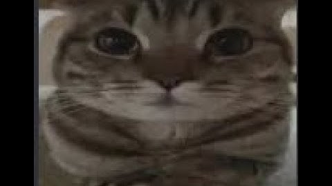 HOW TO FIX ROBLOX CRASHING UPDATED 2024!