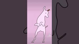 Dancing Dog Animation