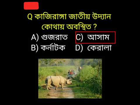 ভিডিও: কাজিরাঙ্গা জাতীয় উদ্যান: সম্পূর্ণ নির্দেশিকা