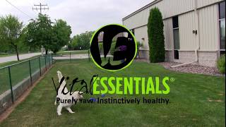 Vital Essentials video