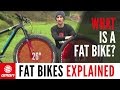 What Is A Fat Bike? | GMBN Explains Fat Bikes