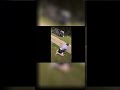 Golf Carts Gone Wild 💀 Funny Golf Course Moments Video 🤣