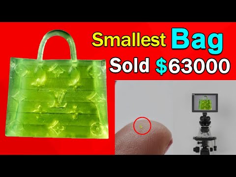 The Smallest Handbag in the world that sold 63 thousand dollars