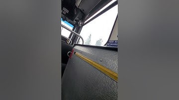 Calgary Transit 2008 NFI D40LF # 8050 on the Route 33 video 4