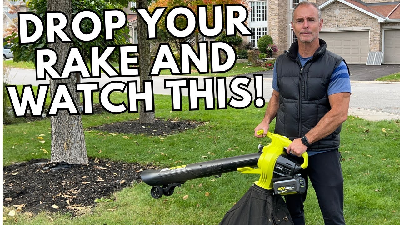 Electric Cordless Leaf Blowers - Garden & Lawn Care Tools