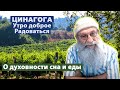 ЦИНАГОГА. Утро доброе. Радоваться! Псалом 131