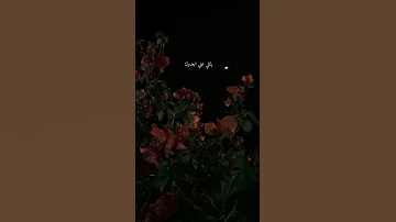 يشبعوبك 