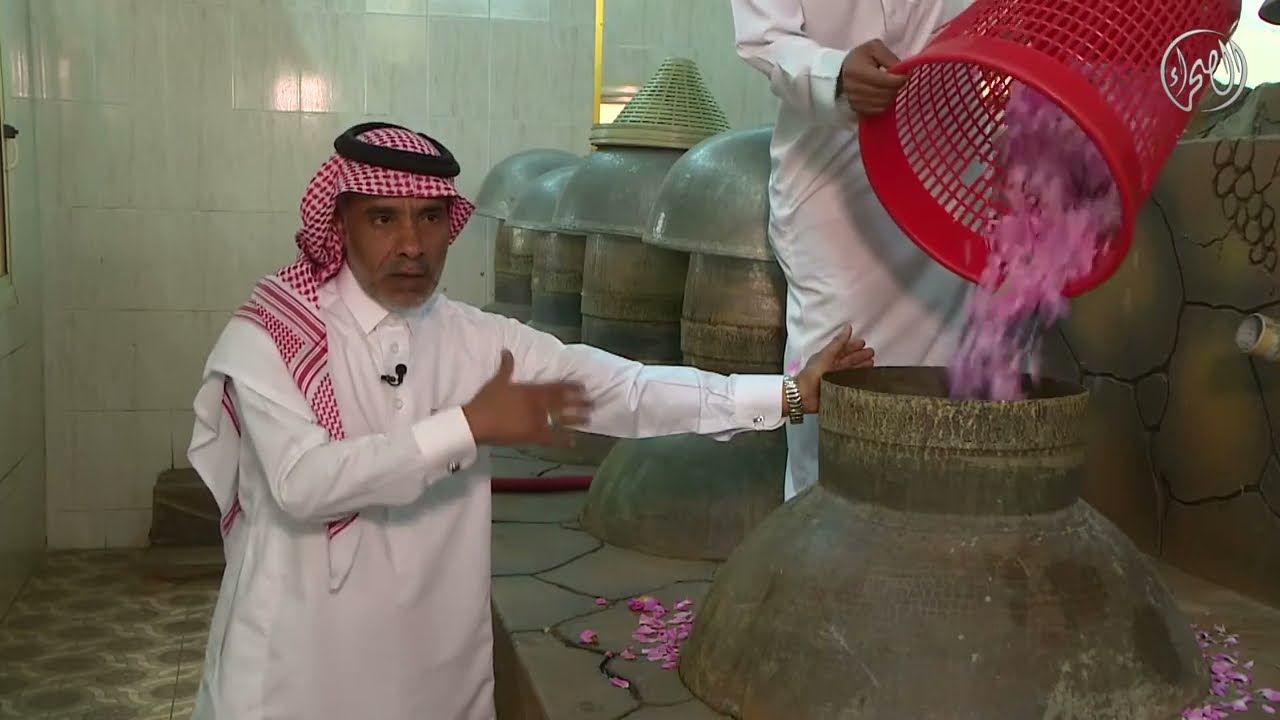 تقرير ورد الطائف | طرق زراعة الورد وإستخراج دهن الورد الطائفي