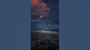 #اكسبلور  احترام القرآن الكريم ثواني