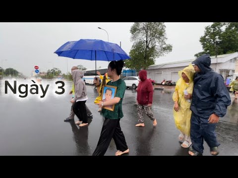 Ngày 3: Đến