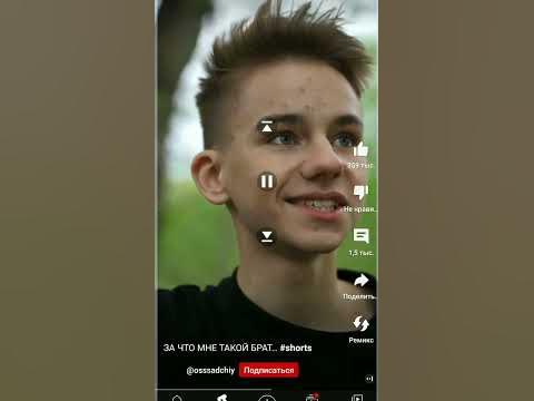 Блог пчеловода для любителей мёда. Пчеловодство для начинающих и не