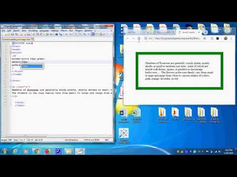 Web design Using HTML- Doubt 3  difference between margin vs  padding