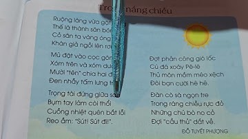 Tian Xin đọc sách TV lớp 3 bộ sách Cánh Diều bài Trong Nắng Chiều