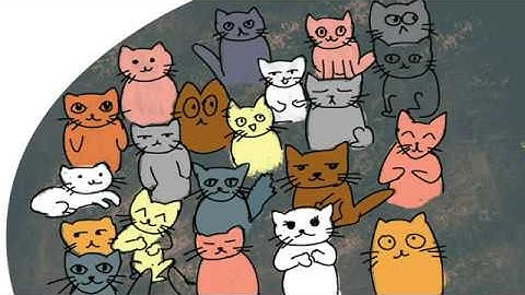Feed forward neural network (and cats)