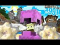 COME PORTARE uno SHULKER nell'OVERWORLD - Minecraft ITA SURVIVAL #991