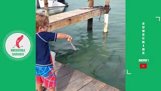 Animals Scaring Kids ð Nonstop Laughter ð